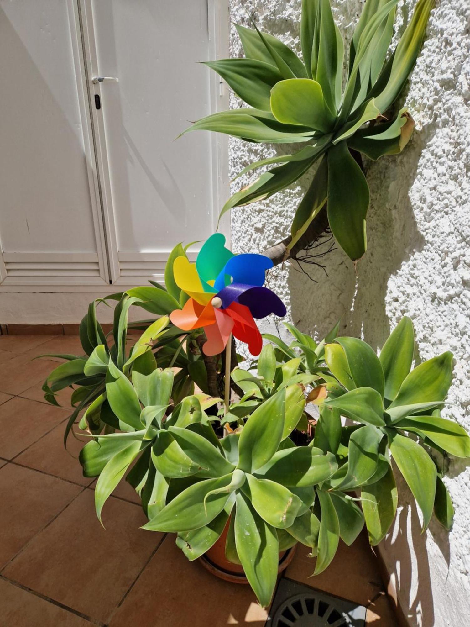 Torremolinos:Appartement Avec Piscine Et Terrasse Exterior foto